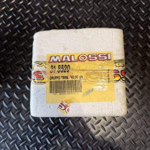 Malossi Zylinder 318520